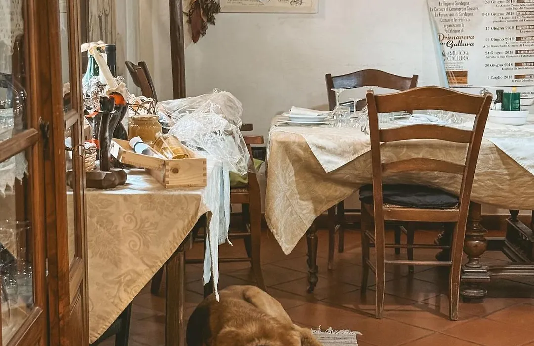 Agriturismo Il Muto di Gallura-1