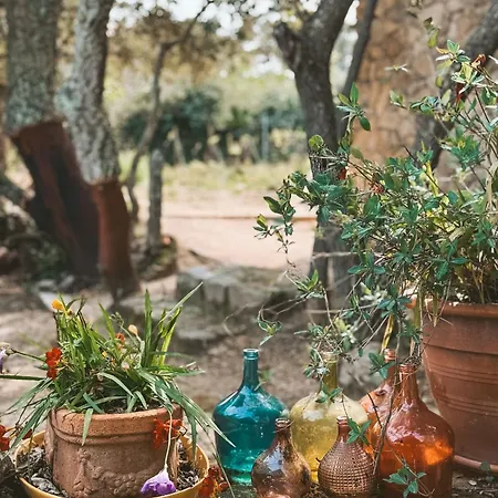 Agriturismo Il Muto di Gallura-3